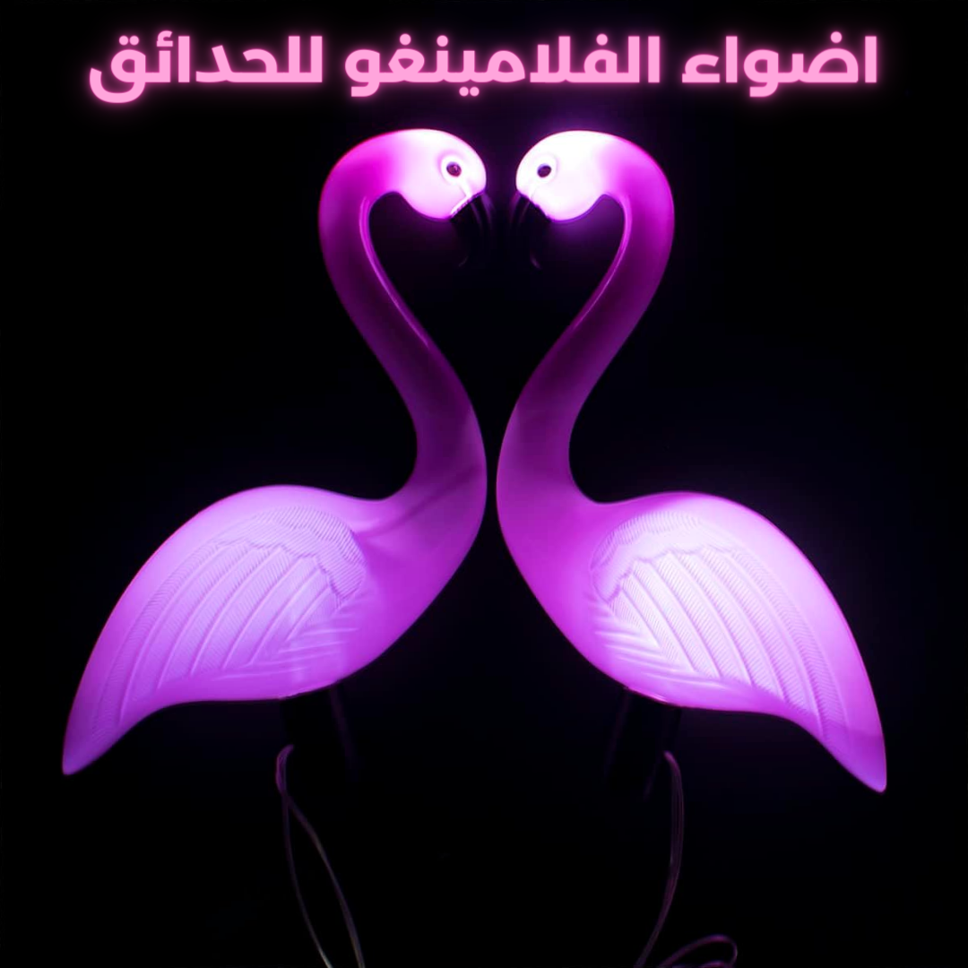 اضواء الفلامينغو للحدائق